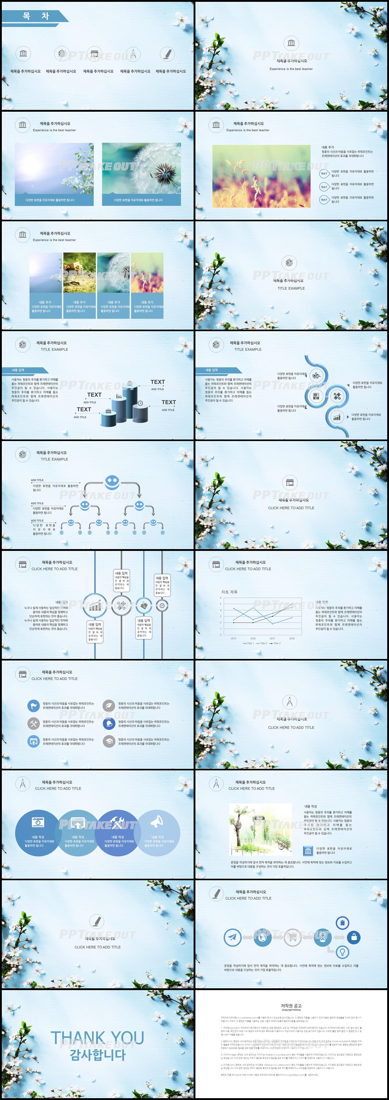 플라워, 동물주제 하늘색 귀여운 시선을 사로잡는 PPT탬플릿 만들기 상세보기