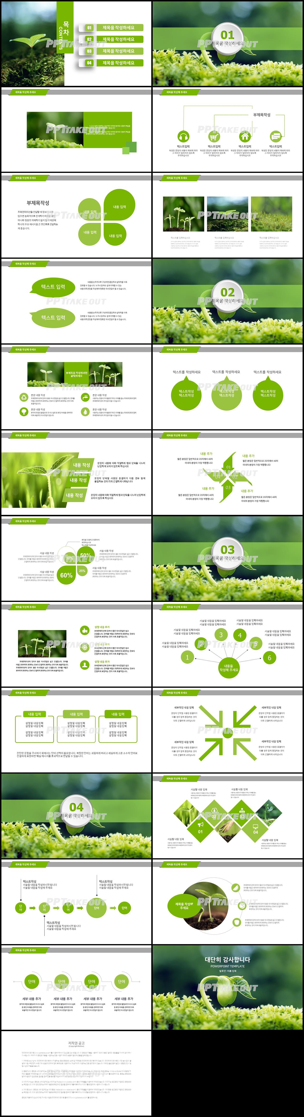 꽃과 동식물 주제 녹색 단아한 맞춤형 파워포인트서식 다운로드 상세보기