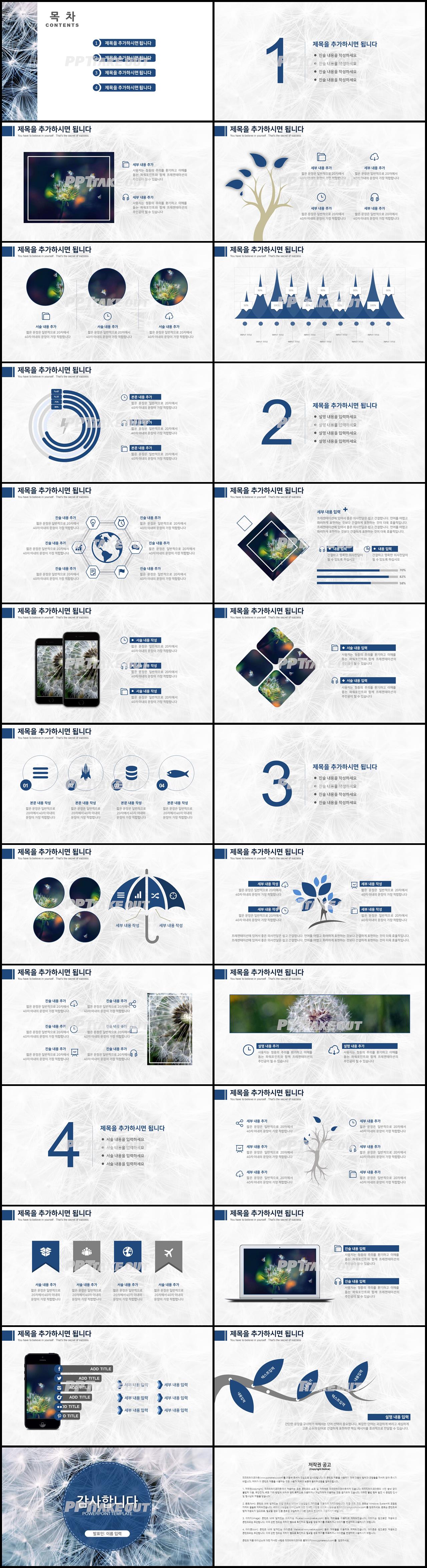 화훼, 동물주제 하늘색 깜찍한 맞춤형 POWERPOINT샘플 다운로드 상세보기