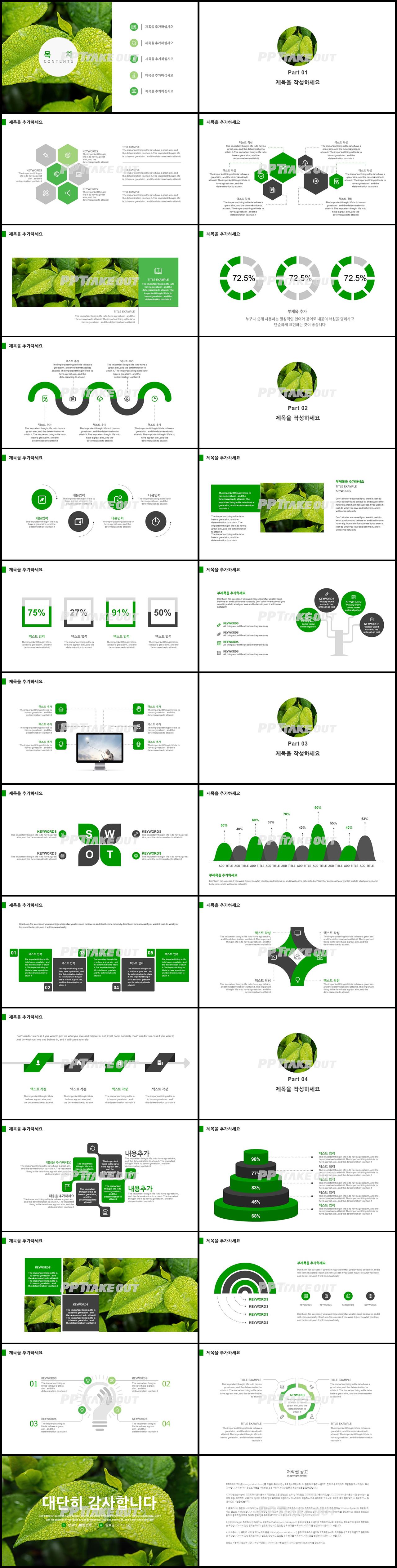 화초, 동식물 그린색 아담한 프레젠테이션 PPT샘플 만들기 상세보기