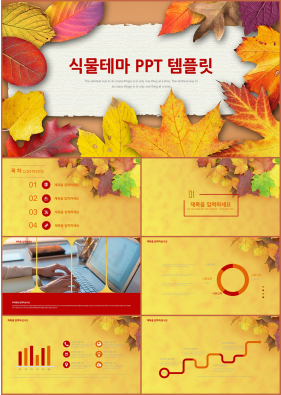 동식물, 애완동물 오렌지색 잉크느낌 매력적인 POWERPOINT탬플릿 제작