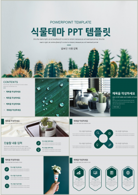 플라워, 동물주제 그린색 폼나는 매력적인 POWERPOINT탬플릿 제작