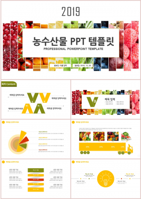 미식 컬러 단정한 매력적인 PPT서식 제작