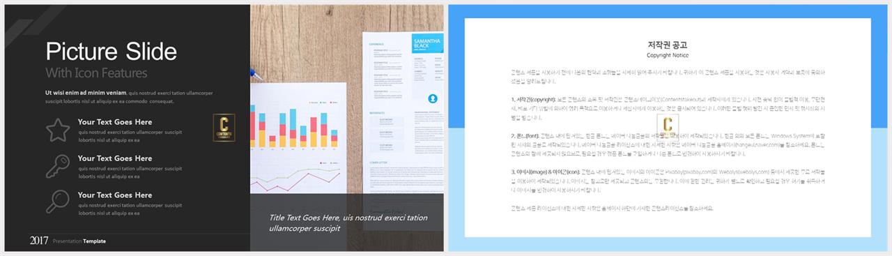 PPT다이어그램 세로 행렬형  발표용 POWERPOINT샘플 사이트 상세보기