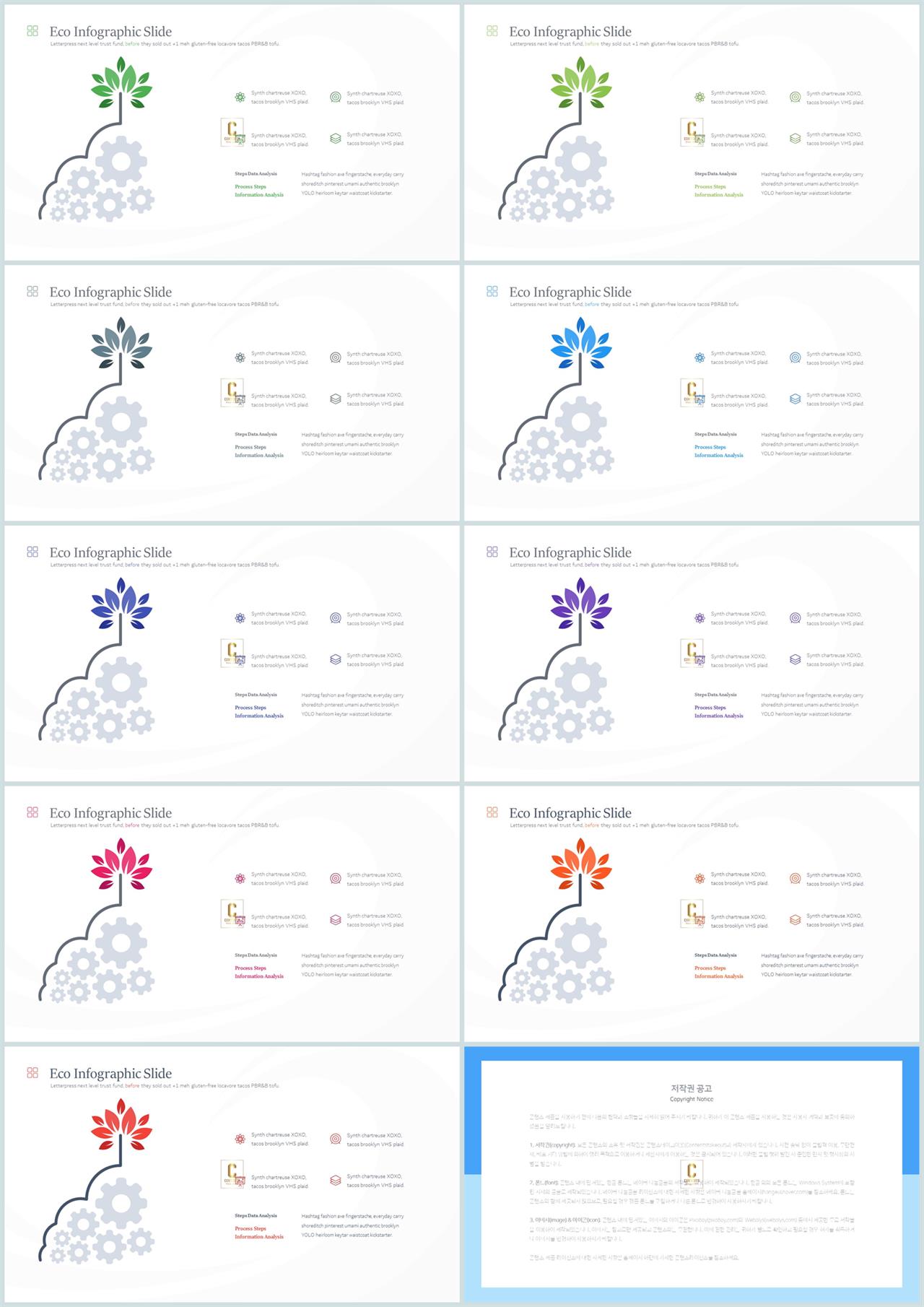 PPT인포그래픽 화초  맞춤형 파워포인트양식 다운 상세보기