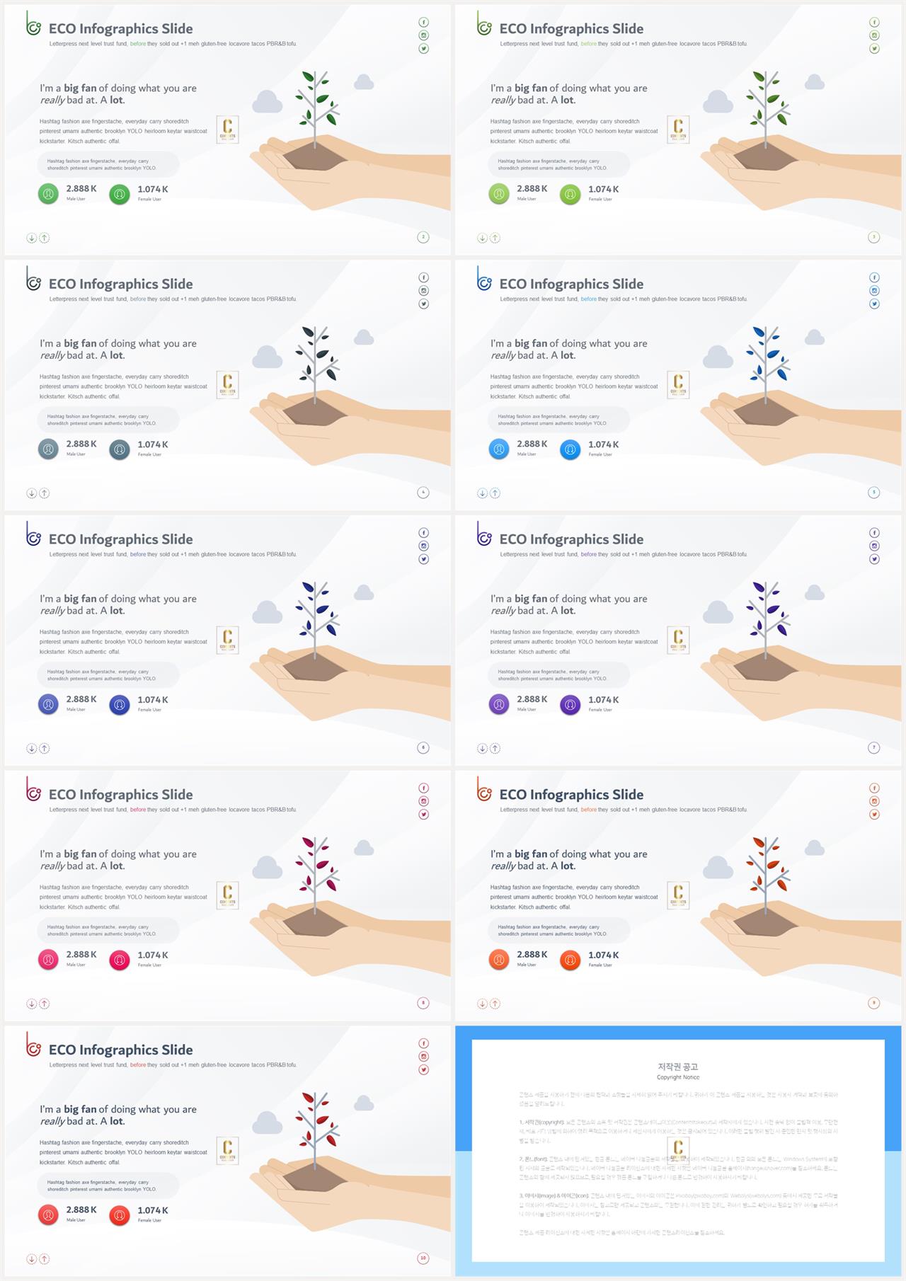 PPT인포그래픽 식물  고급스럽운 피피티양식 제작 상세보기