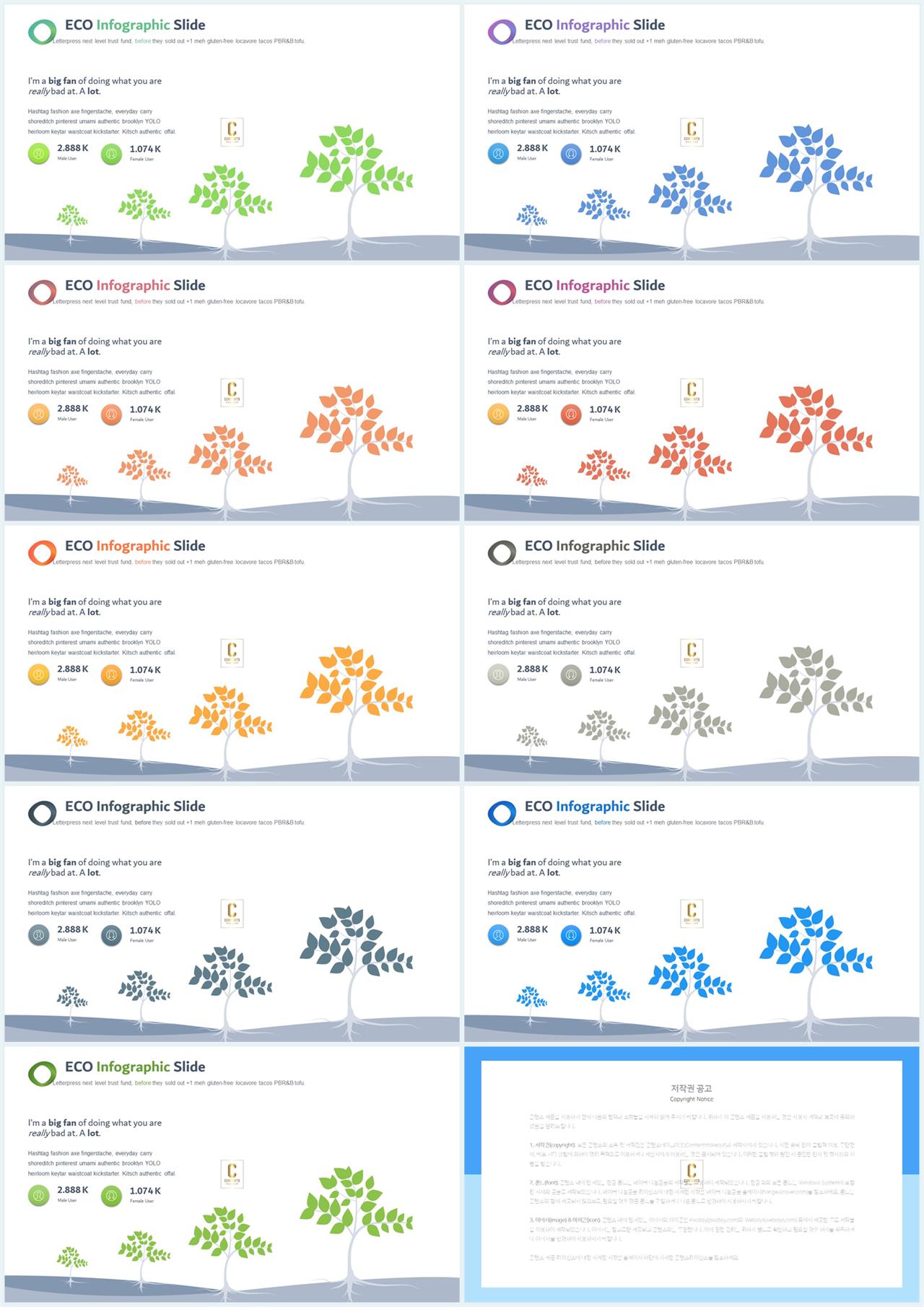 PPT인포그래픽 화초  멋진 피피티서식 다운 상세보기