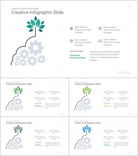 PPT인포그래픽 화초  고퀄리티 피피티배경 사이트