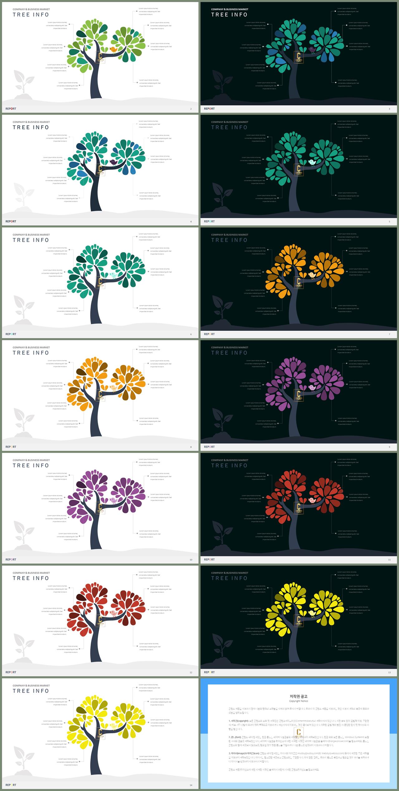 PPT인포그래픽 식물  프로급 피피티배경 제작 상세보기