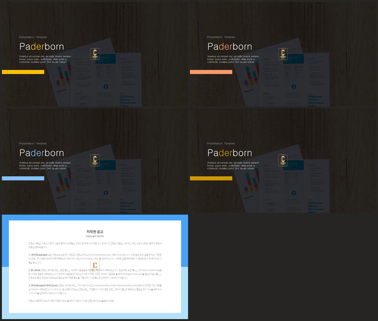 PPT레이아웃 전체형  프로급 POWERPOINT양식 사이트 상세보기