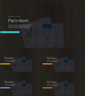 PPT레이아웃 전체형  프로급 POWERPOINT양식 사이트