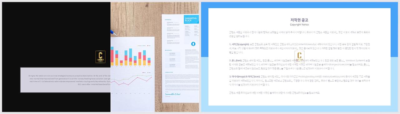 PPT레이아웃 좌우로 분림형  멋진 피피티샘플 사이트 상세보기