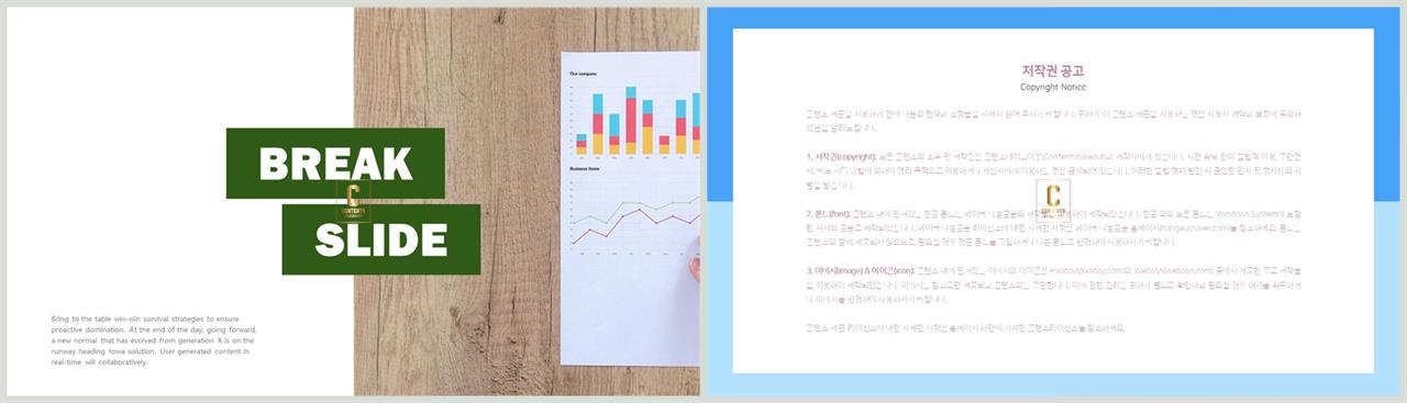 PPT레이아웃 좌우분리형  고급형 파워포인트양식 제작 상세보기